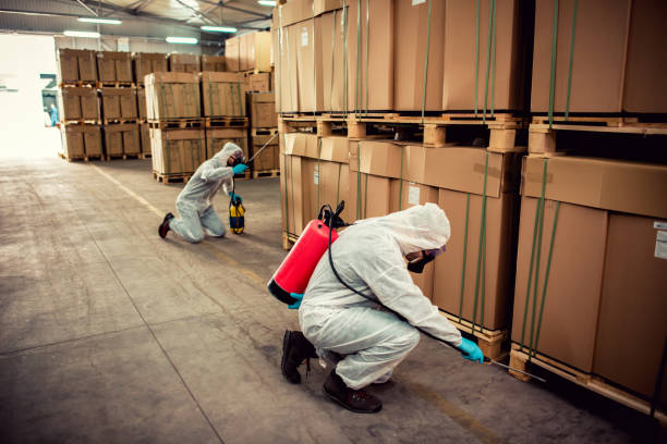 Best Residential Pest Control  in Onawa, IA