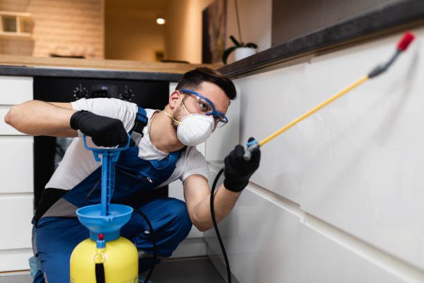 Best Pest Removal Services  in Onawa, IA