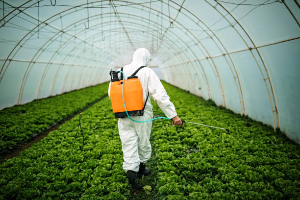 Best Pest Prevention Services  in Onawa, IA