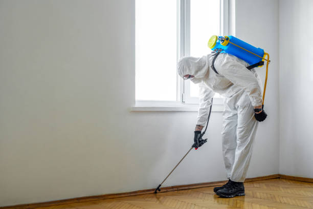 Pest Prevention Services in Onawa, IA