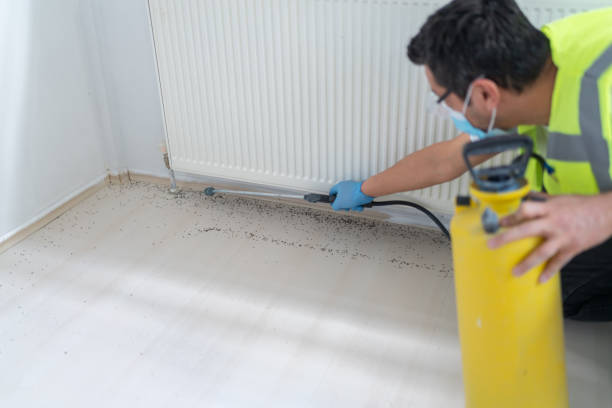 Best Termite Control Services  in Onawa, IA