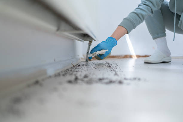 Professional Pest Control in Onawa, IA